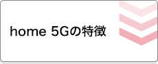 home 5Gの特徴