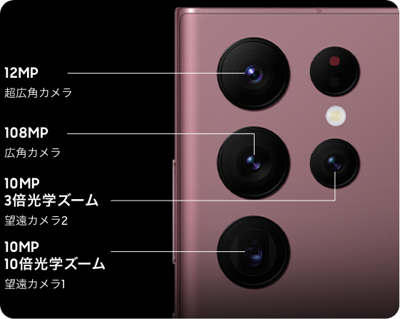 精細な色を大胆に表現