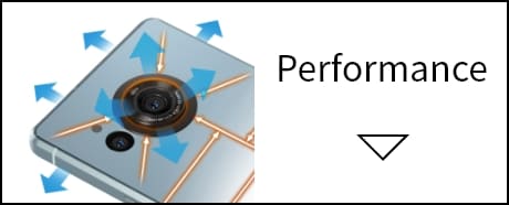 Performance