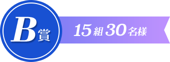 B賞 15組30名さま